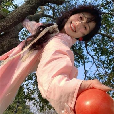 妙贼追凶